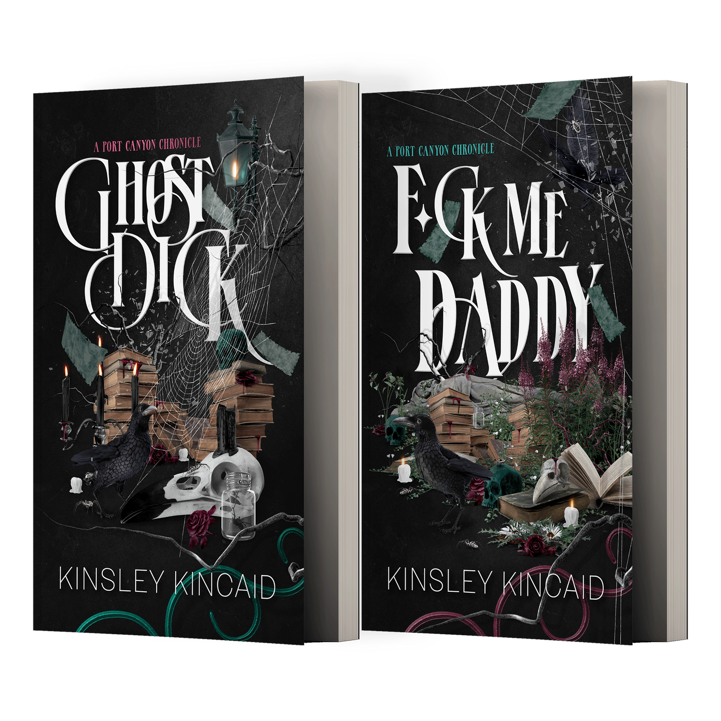 BUNDLE - A Port Canyon Chronicle