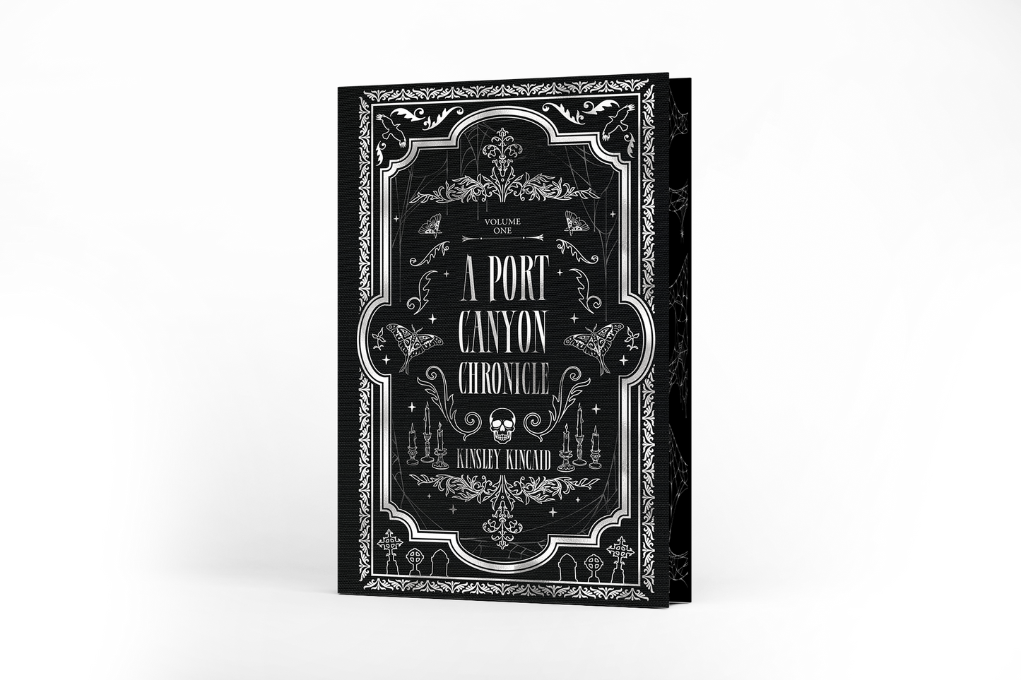 BUNDLE - A Port Canyon Chronicle